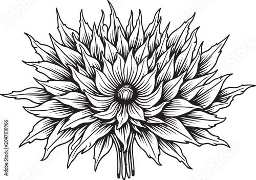 Black and white floral illustration, monochrome flower, vector bouquet, line art blossom