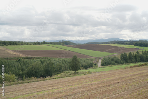 Cuadro en lienzo Hokkaido, mountain ridges and woodland, with rural landscape, in september, scen
