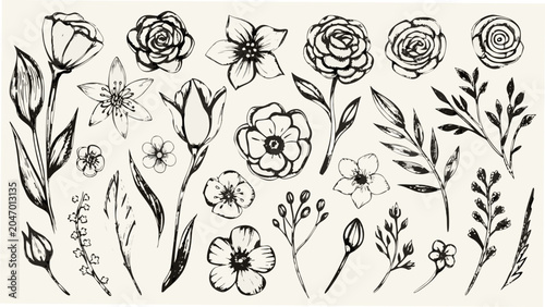 Bild auf Leinwand Floral ornament of sketched flowers and leaves a black and white botanical illus