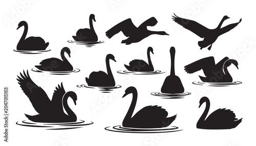 Obraz na plátne black and white silhouette set of swan very high quality vector illustration