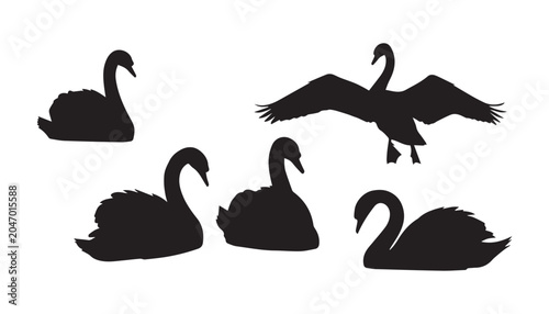 Quadro em tela black and white silhouette set of swan very high quality vector illustration