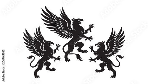Fotografija black and white silhouette set of Griffin very high quality vector illustration