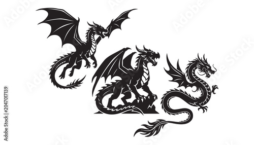 Foto black and white silhouette set of Mythical Dragon very high quality vector illustration