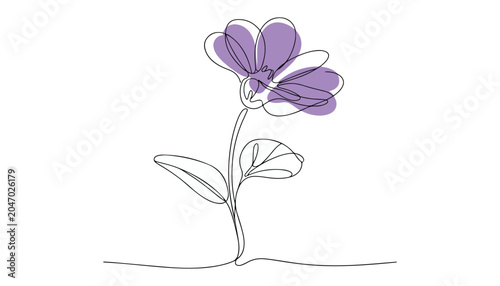 Konstfotografi One continuous line illustration of an violet flower , isolated on white background