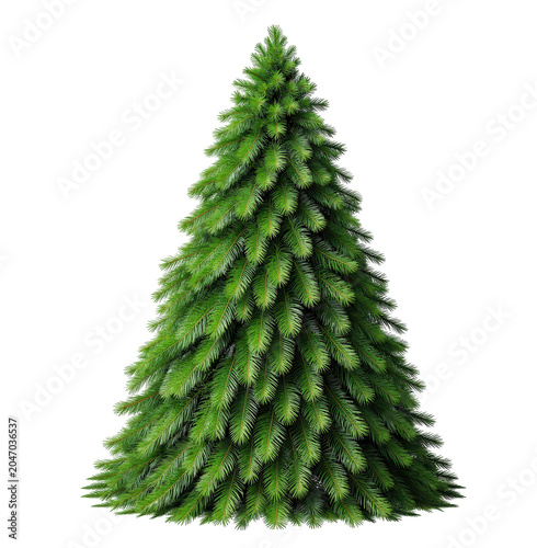 Green Pine Tree Isolated on Transparent Background