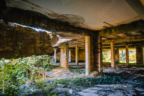 Ruined interior of the abandoned Savane Sanatorium in Tskaltubo, Georgia, where nature slowly reclaims a Soviet-era landmark.