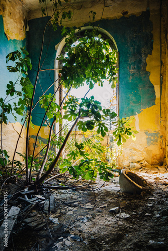 Ruined interior of the abandoned Savane Sanatorium in Tskaltubo, Georgia, where nature slowly reclaims a Soviet-era landmark.