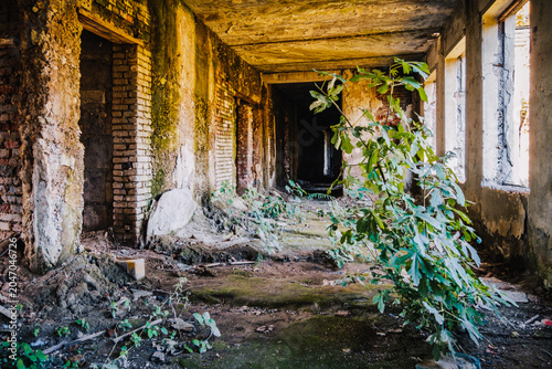 Ruined interior of the abandoned Savane Sanatorium in Tskaltubo, Georgia, where nature slowly reclaims a Soviet-era landmark.