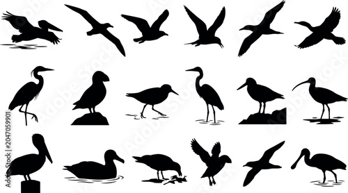 Valokuva Sea Bird Silhouette Icon Set Featuring Pelicans Seagulls Herons and Shorebirds f