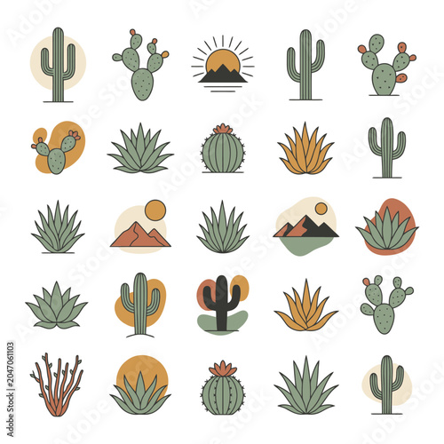 Fotografi Collection of various cactus plants.