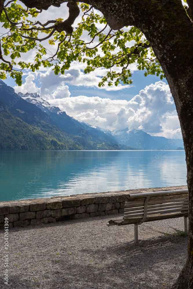 Obraz premium Beautiful Brienz lake in Switzerland