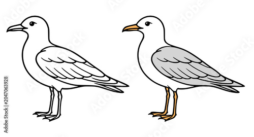 Bild auf Leinwand Seagull minimalist icon, line art and colored, for coloring page