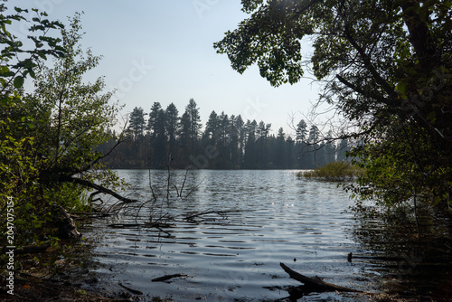 Billede på lærred Calm lake reflecting a distant pine forest under a clear sky, framed by dark sho