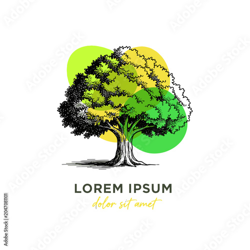 Artistic oak tree illustration with green watercolor splashes.