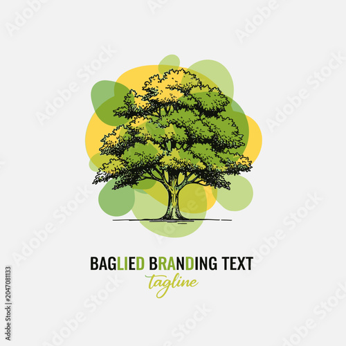 Artistic sketch oak tree logo with watercolor splashes.