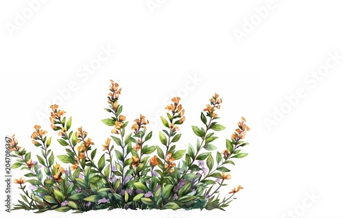 Watercolor garden bush with flowers, isolated clipart on white background