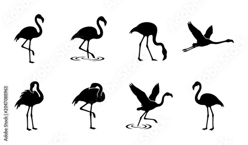 Foto Flamingo Silhouettes Collection, Elegant Bird Poses Vector Set, Tropical Wildlif