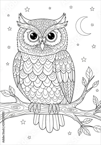 Cute owl sitting on a branch at night