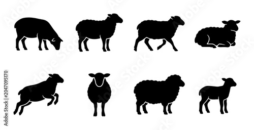 Obraz na płótnie Sheep Silhouettes Collection, Farm Animal Icons, Livestock Vector Graphics, Rura