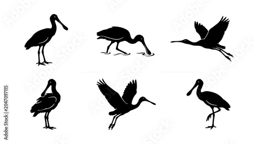 Photography Ibis Bird Silhouettes, Wildlife Vector Icons, Elegant Wading Bird Poses, Nature