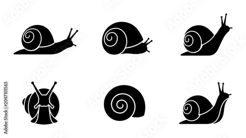 Foto Snail Icons Set, Black Silhouette Gastropod Vector Graphics, Simple Mollusk Art