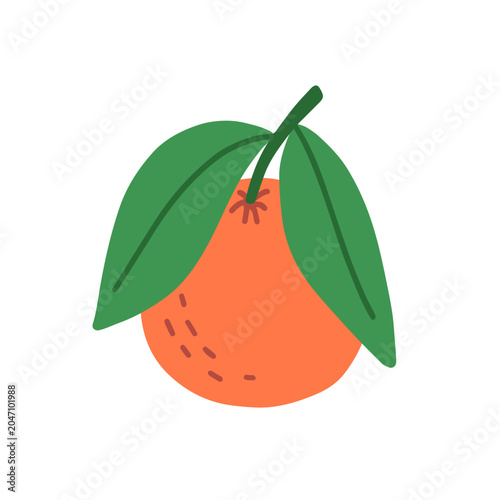 Orange fruit with top leaf. Fresh healthy tangerine with green leaves. Whole ...