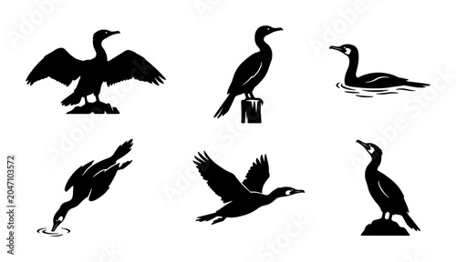 Fotografie Cormorant Bird Silhouettes: Diving, Flying, Perched, Waterfowl Vector Set
