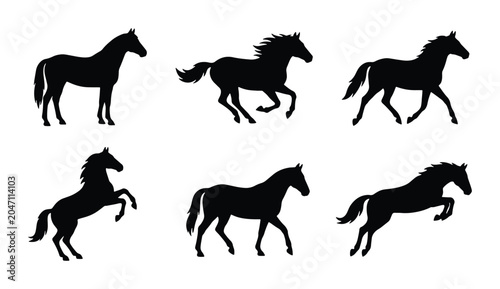 Foto Horse Silhouettes Collection: Galloping, Standing, Rearing Equine Vector Icons
