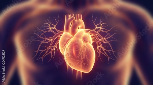 Human Heart Anatomy Glowing Chest X-ray Medical Science Concept