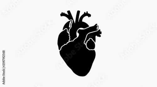 Detailed black silhouette of a human anatomical heart on a clean white background.