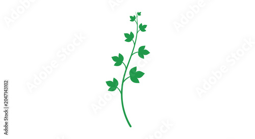 Bild auf Leinwand Green leafy plant stem with leaves.