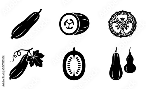 Schilderij op canvas Gourd Vector Icons: Bottle Gourd, Calabash, Luffa, Zucchini, Squash, Cucurbit