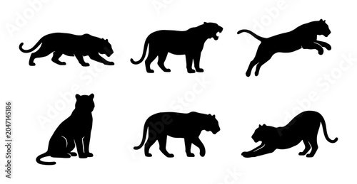Photography Black Panther Silhouettes Set, Wild Cat Poses Vector Collection, Big Cat Vector