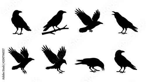 Bild auf Leinwand Crow Silhouettes, Vector Icons Set: Flying, Perching, Standing Birds Collection