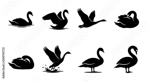 Elegant Black Swan Silhouettes, Graceful Waterfowl Vector Icons, Wildlife Bird Poses Collection
