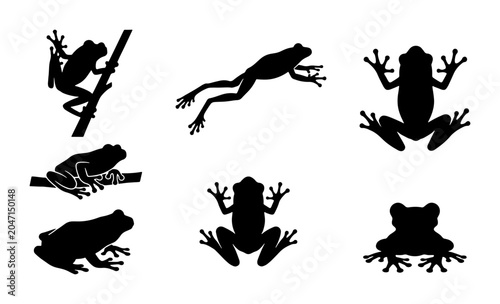 Photography Black Frog Silhouettes, Amphibian Vector Icons, Wildlife Animal Graphics, Nature