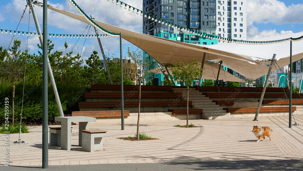 Fototapeta premium Modern outdoor amphitheater with a dog in a city park on a sunny day. Urban landscape.