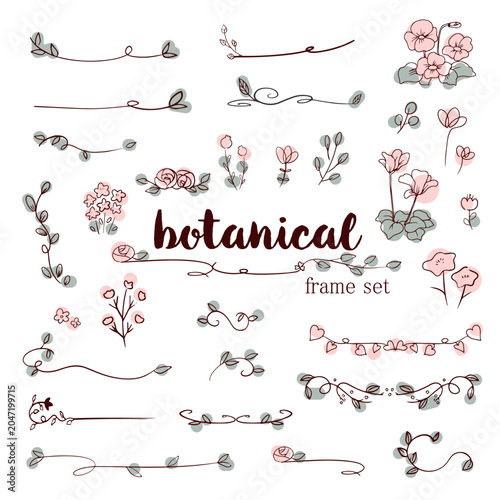 Botanical frame set hand drawn floral line collection
