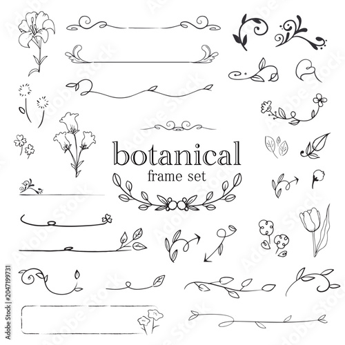 Hand Drawn Botanical Frames and Borders