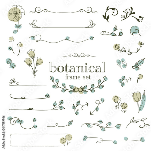 Hand Drawn Botanical Frames and Borders