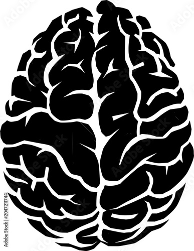 Konstfotografi Black and white human brain illustration with detailed gyri and sulci