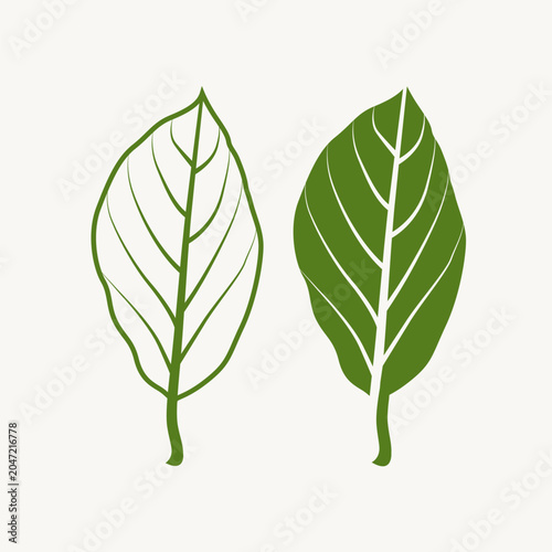 Minimalist vector illustration of two stylized green leaves with prominent veins, featuring solid and outline designs in a clean botanical nature theme