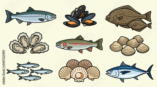 Set of detailed illustrations of various sustainable seafood and fish species emphasizing ocean biodiversity and responsible consumption.