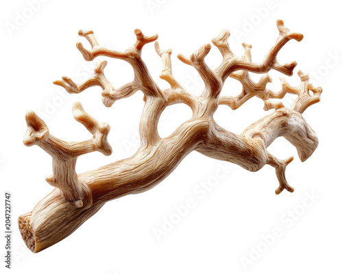 Petrified Wood Sculpture: An intricate sculpture carved from petrified wood, showcasing the organic beauty and unique texture of fossilized timber, artfully displayed.