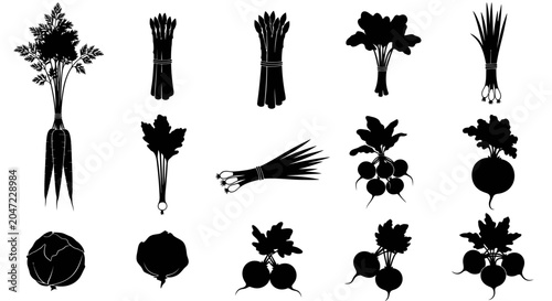 Vegetable silhouettes including carrots beets onions and leafy greens on white background