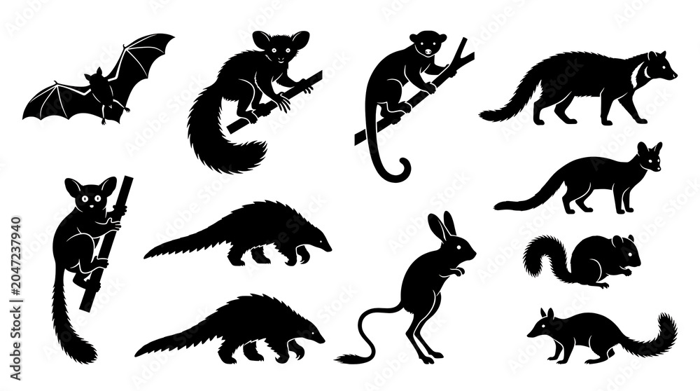 Obraz premium Unique nocturnal animal silhouettes isolated on white background featuring rare and fascinating nighttime wildlife species.