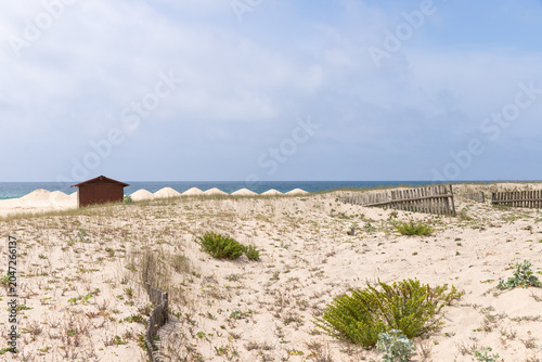 Dunes at Esmoriz beach, Portugal
