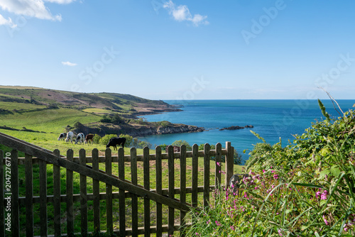 Coastal landscape with wooden fence, wildflowers, and blue sea under sunny sky