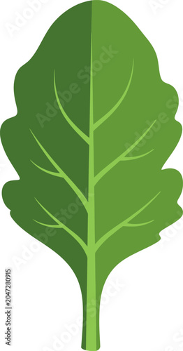 Foto Green leaf illustration with veins.