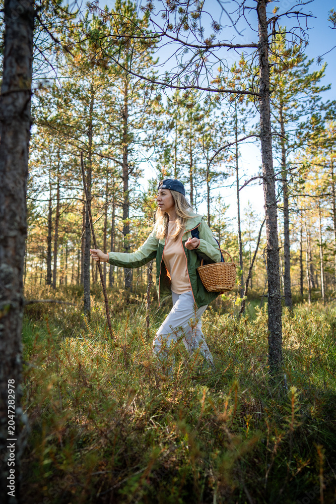 Fototapeta premium Focused relaxed woman forager with basket making way through forest wetlands helping herself with stick, active healthy pastime in nature and seasonal hobby, calm positive female hiking in woods